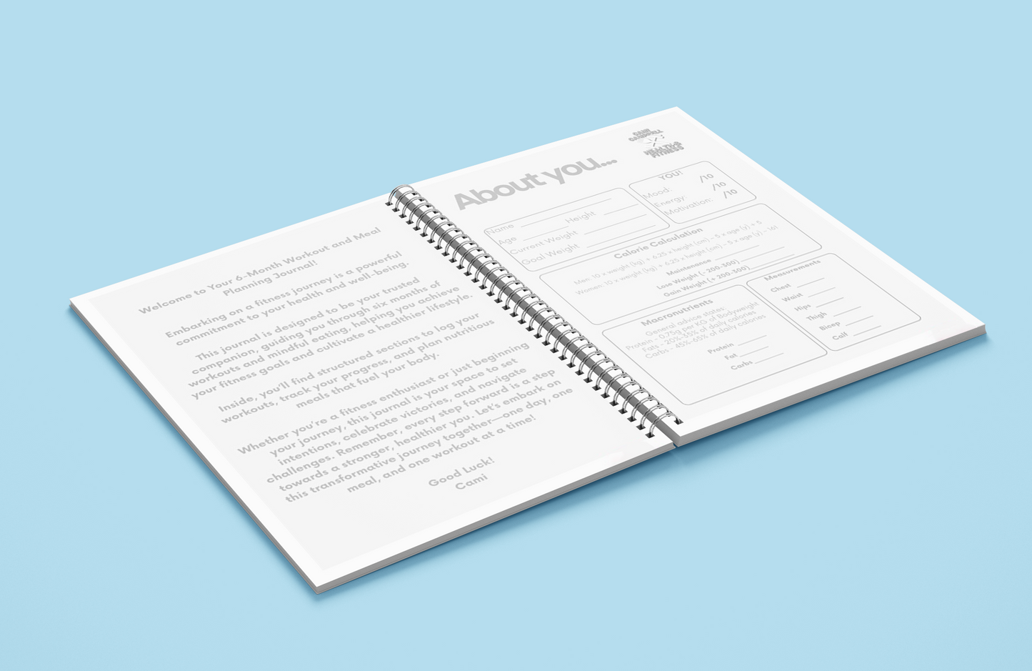 6-Month Workout and Meal Planner